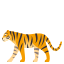 🐅